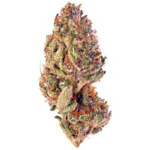 Tropical Cherry - Tropicana Cookies X Cherry Cookies - NEW!
