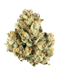 BCJ - Banana Cream Cake X Jealousy - NEW!