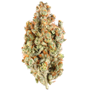 Bay Area Pop Rocks - LA. Pop Rocks X Ritz - NEW!