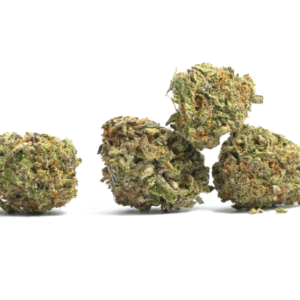 Blue Ritz #10 - Rocky Mountain Blueberry X Ritz - NEW!