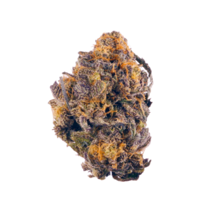 Mexican Flan - Ice Cream Cake X Animal Mintz - NEW!