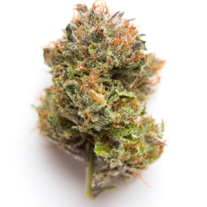 Z33 - Zcube X Gelato #33 - NEW!